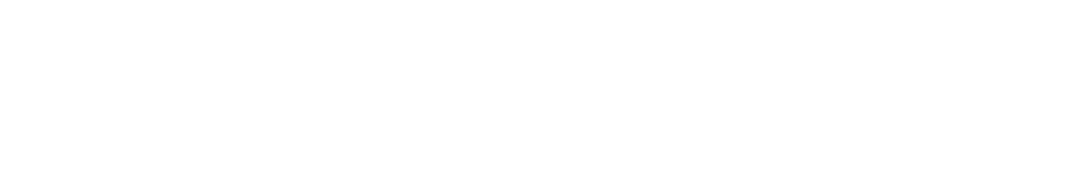 FGV Rio